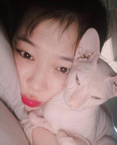 雪莉