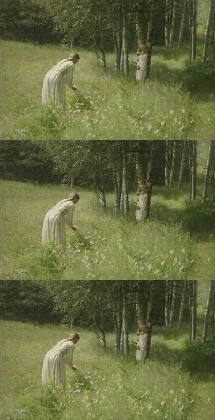 绿色壁纸 