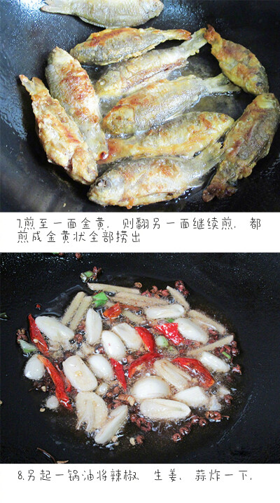 【小鱼炖豆腐】豆腐炖鱼补钙效果好，味道也很棒~