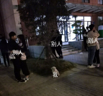 我单身狗 vs 别人