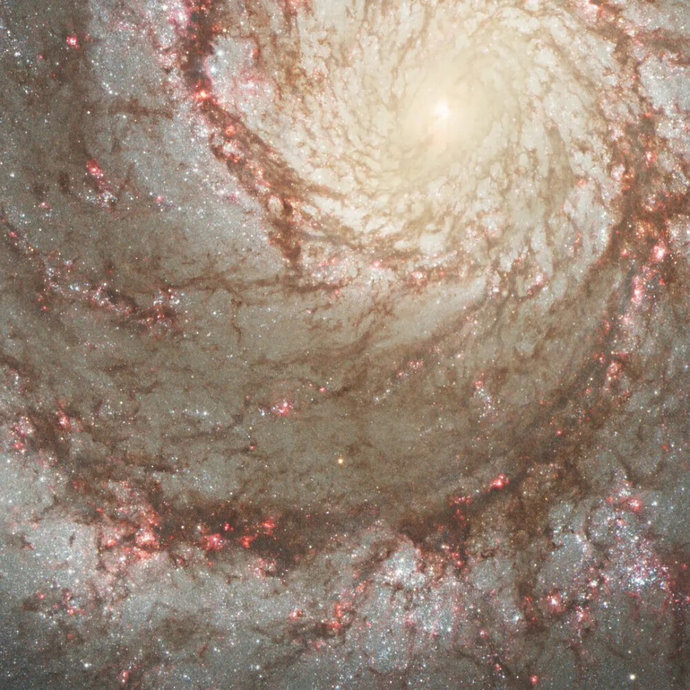 你生日当天的宇宙
1月19日 图源NASA
哈勃望远镜
2005年1月19号的Whirlpool Galaxy，漩涡星系