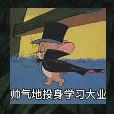 学习表情包