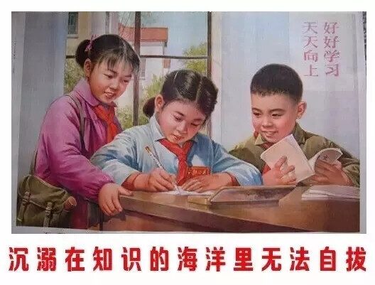 学习表情包