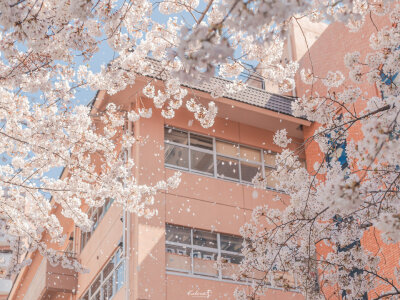 
晓看天色暮看云 行也思君坐也思君
春赏百花冬观雪 醒亦念卿梦亦念卿 ​