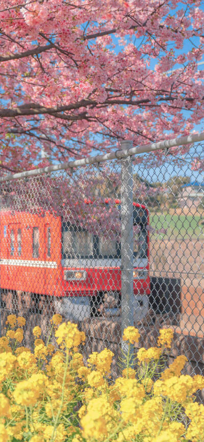 
晓看天色暮看云 行也思君坐也思君
春赏百花冬观雪 醒亦念卿梦亦念卿 ​