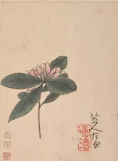 《丁香花圖》 八大山人