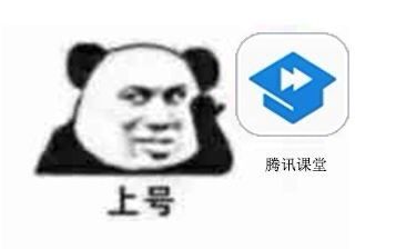 沙雕表情包