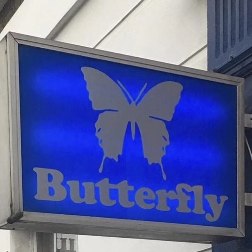 butterfly