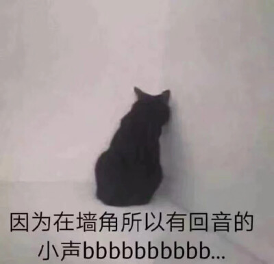 可爱猫猫第二十弹