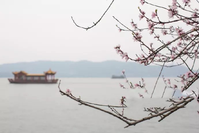 《饮湖上初晴后雨》
宋代： 苏轼
水光潋滟晴方好，山色空蒙雨亦奇。
欲把西湖比西子，淡妆浓抹总相宜。