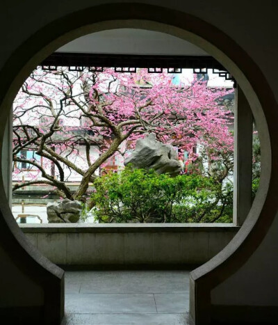 《饮湖上初晴后雨》
宋代： 苏轼
水光潋滟晴方好，山色空蒙雨亦奇。
欲把西湖比西子，淡妆浓抹总相宜。