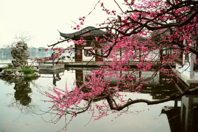 《饮湖上初晴后雨》
宋代： 苏轼
水光潋滟晴方好，山色空蒙雨亦奇。
欲把西湖比西子，淡妆浓抹总相宜。