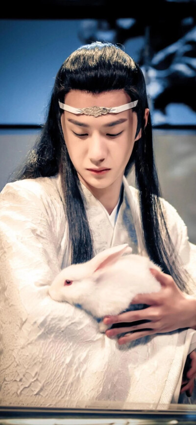 若雨霏霏终满我心*