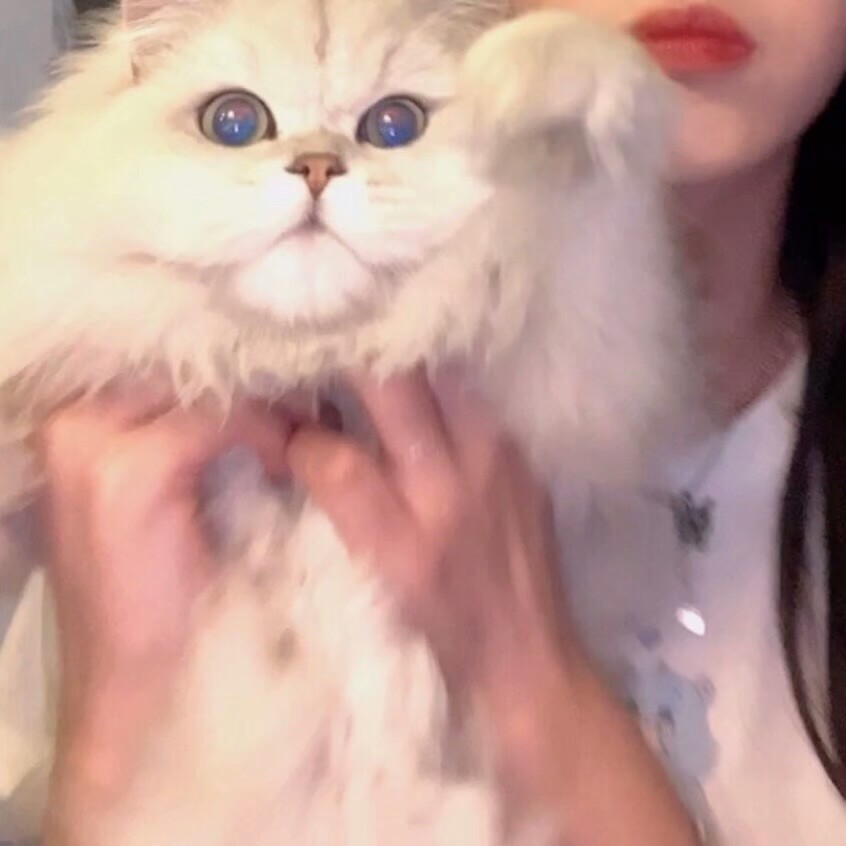 女生头像
喜欢关注 dt小何在吗
源林奕然