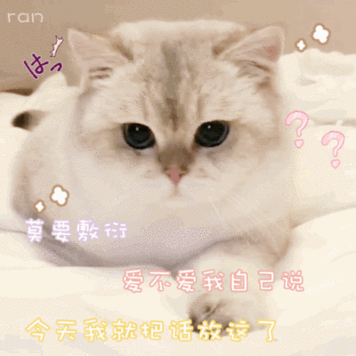 群里存的