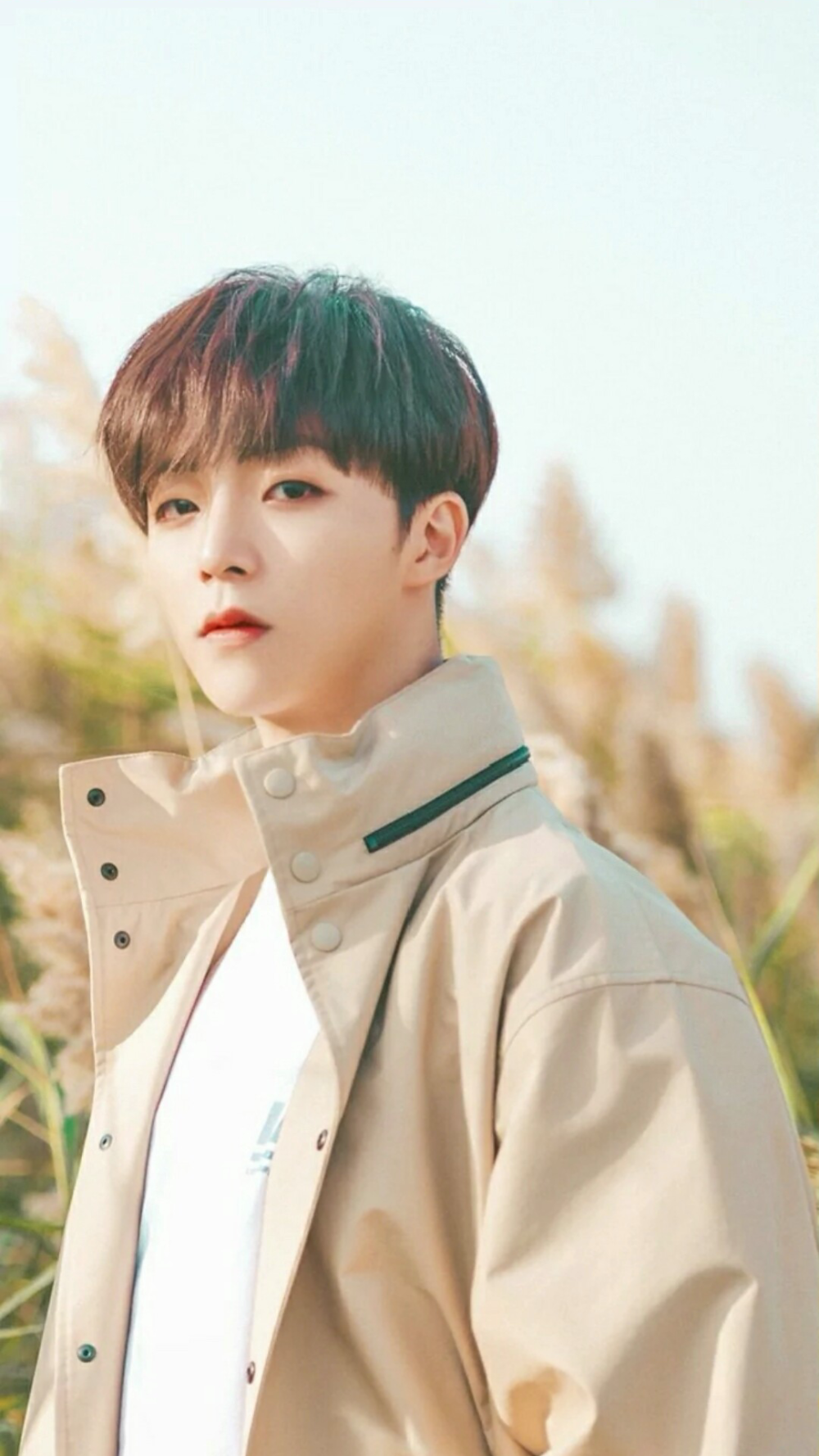 偶像陈立农 超级奶 帅 man帅有型陈立农