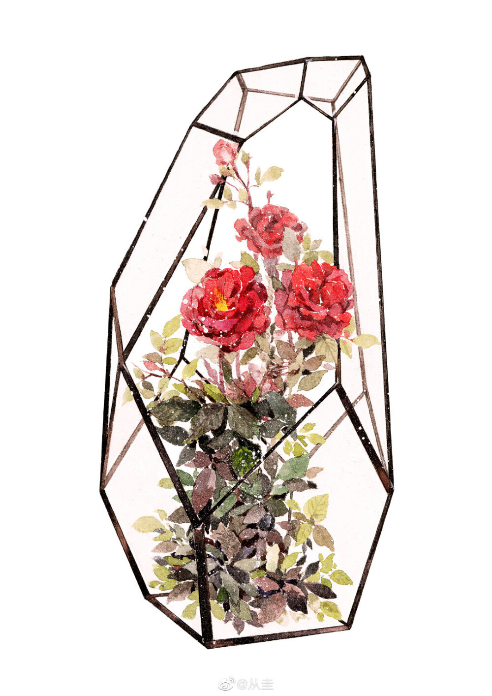 水彩素材，花朵摆饰，红色玫瑰