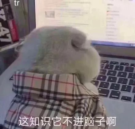 像极了上网课的我们……无奈