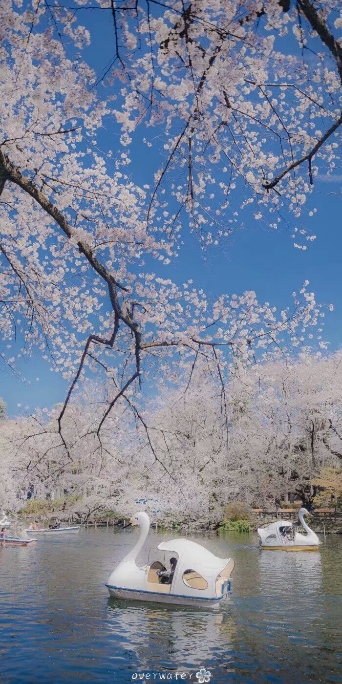 日本风情 日本 东京 壁纸 风景