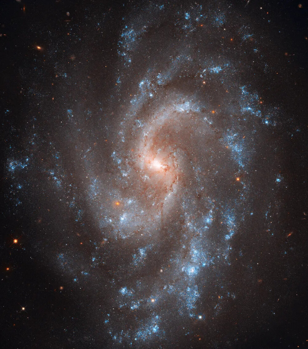 你生日当天的宇宙
1月30日 图源NASA
哈勃望远镜
2010年1月30号Galaxy NGC 5584