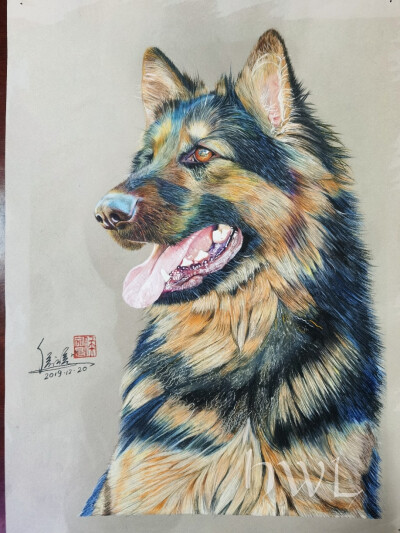 德国牧羊犬（8开270mm×390 mm）