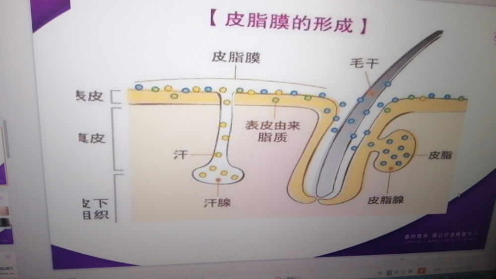 精致女人专业肌肤调查： 1、痘痘，痘印 2、斑点 3、干燥 4、红血丝脱皮 5、过敏 6、毛孔粗大，黑头 7、粉刺 8、黑眼圈 9、暗黄 10、皮肤出油  福利：给予最佳的护理方法和护理小技巧            专业老师一对于指导如何护肤没有兴趣 不喜欢的可以删除哦