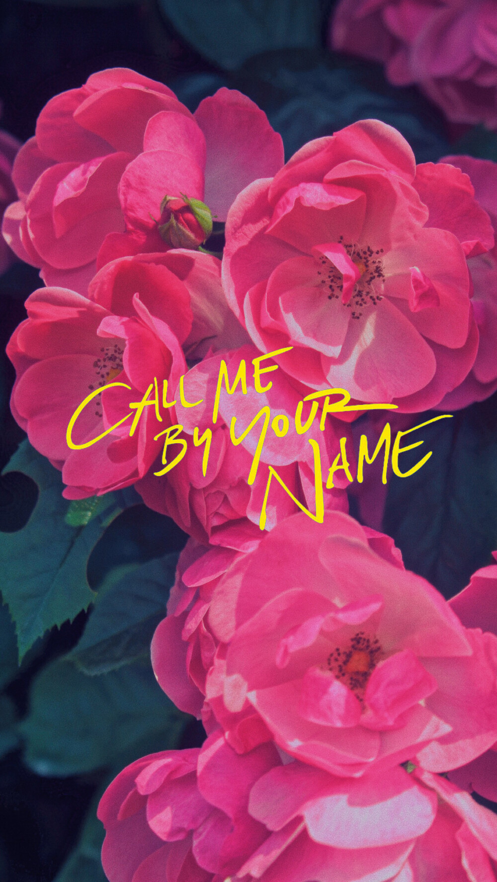 自制call me by your name伪电影海报 ​​​