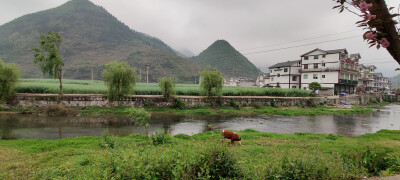 乡野