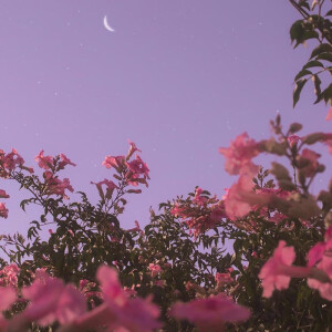 手机壁纸/神仙背景/卡通背景/锁屏壁纸/主屏… - 高清图片,堆糖,美图