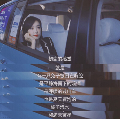 下一站是幸福✨