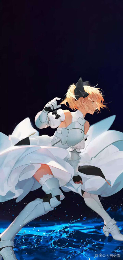 Saber lily