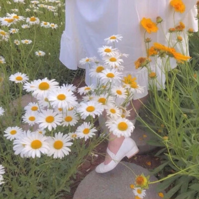 背景图|花花
我是警察
逮捕你所有的不开心