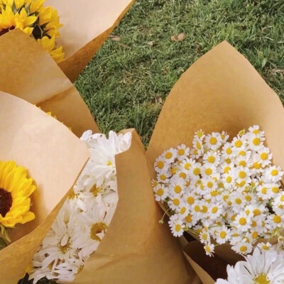 背景图|花花
我是警察
逮捕你所有的不开心