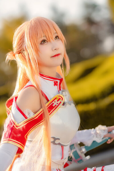 刀剑神域
结城明日奈
coser 小柔seeu