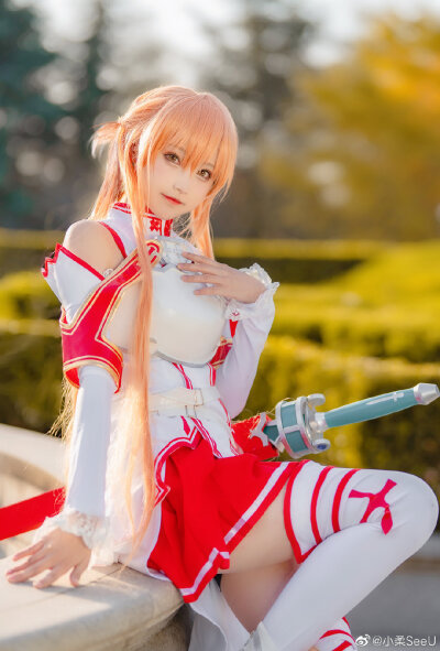 刀剑神域
结城明日奈
coser 小柔seeu