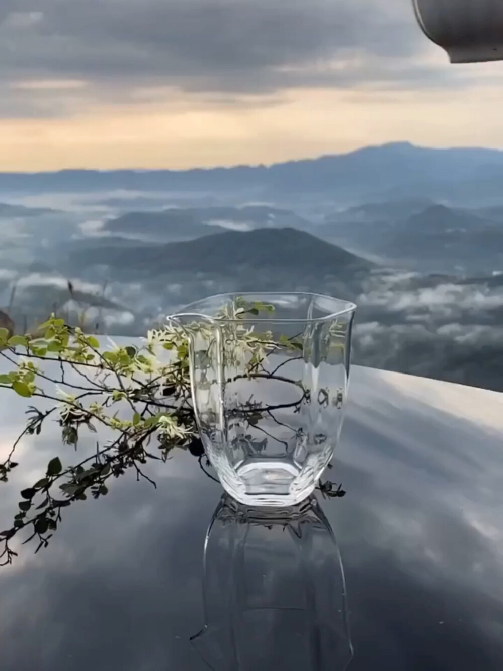 【白茶】从茶水的光影里细数流年的过往，品味生活的美好，便觉得许多事都可以云淡风轻！