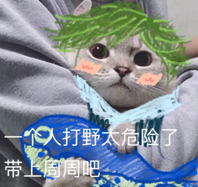 王者情头/表情包/自截侵删/做我的猫