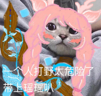 王者情头/表情包/自截侵删/做我的猫