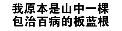 我原本是山中一棵包治百病的板蓝根