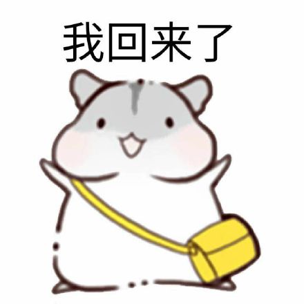 我回来了可爱仓鼠