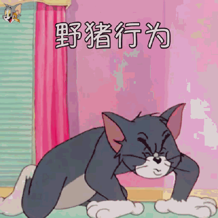 野猪行为 汤姆猫表情包