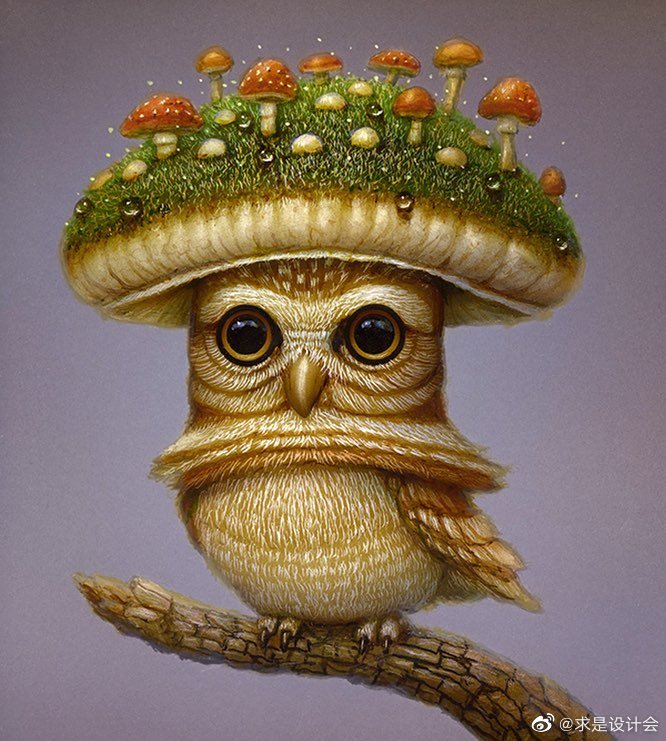 日本艺术家 Naoto Hattori（服部直人）超现实主题的作品欣赏。#求是爱设计#