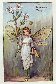 小仙子，插画师：Cicely Mary Barker