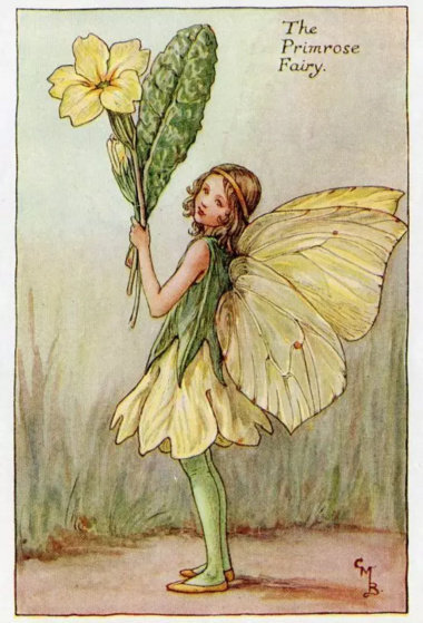 小仙子，插画师：Cicely Mary Barker