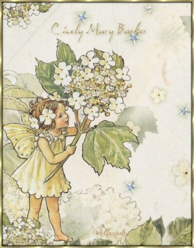 小仙子，插画师：Cicely Mary Barker