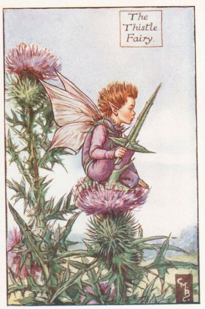 小仙子，插画师：Cicely Mary Barker