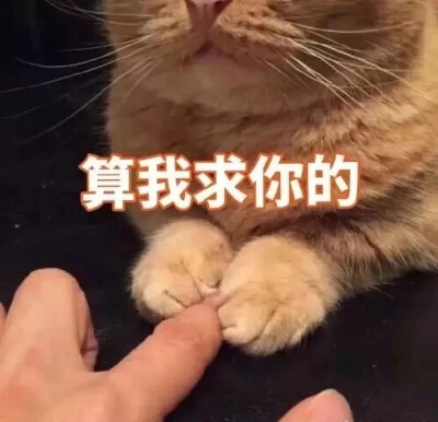 爱的