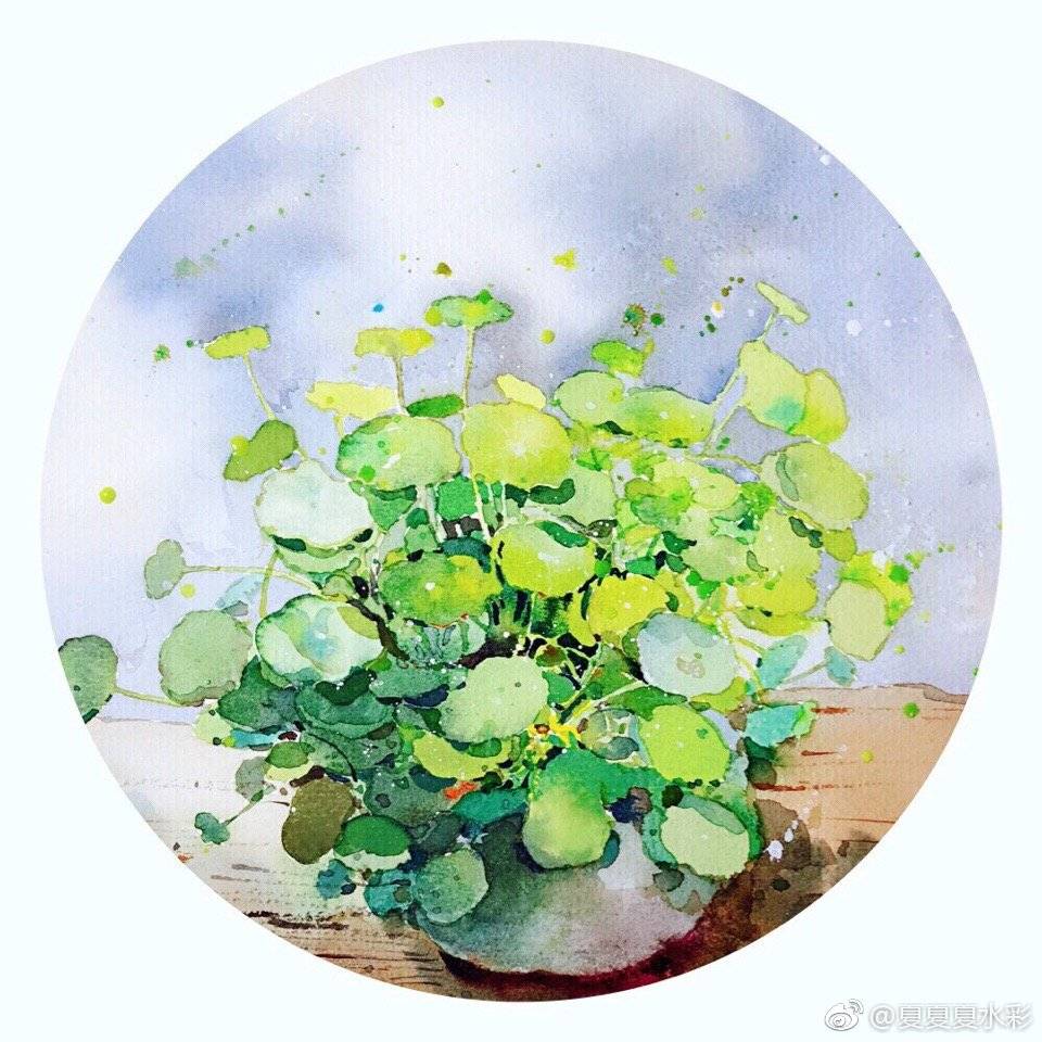 水彩花卉