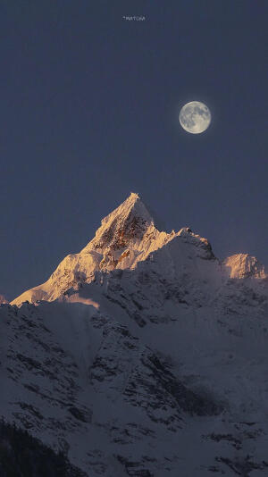 给你画下每日壁纸