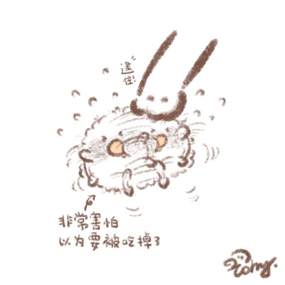 表情包cr:花栗鼠Toby